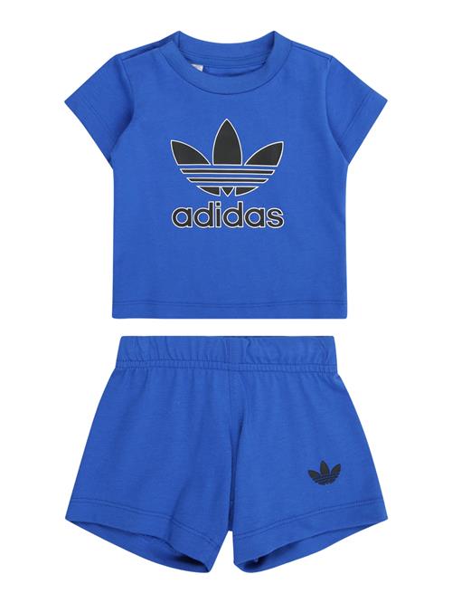 ADIDAS ORIGINALS Sæt  blå / sort / hvid