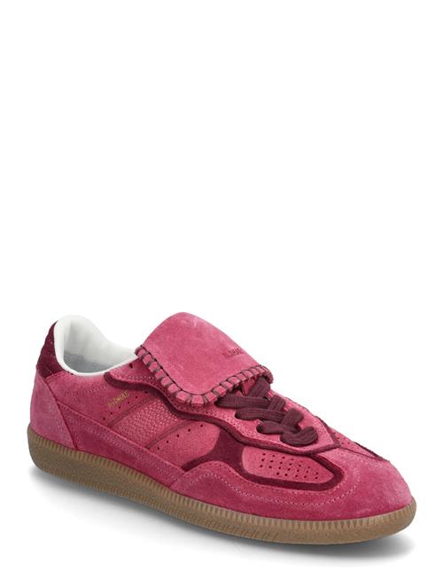 ALOHAS | Tb.490 Club Suede Raspberry Leather Sneakers | 39