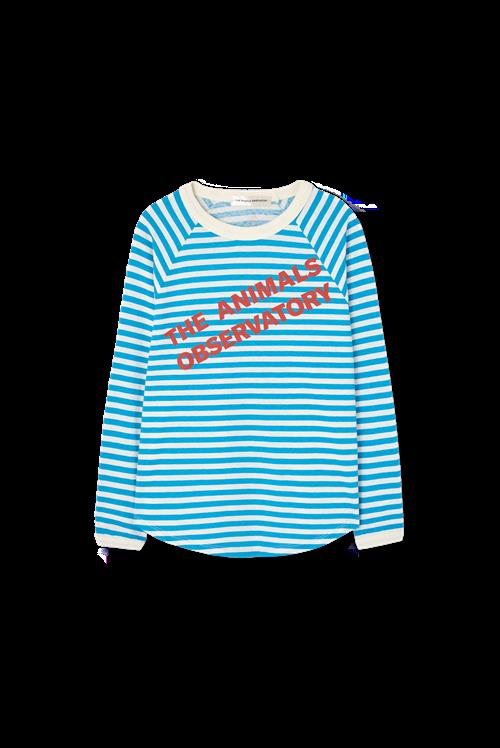 The Animals Observatory Anteater Langærmet T-shirt Blue  Blue 6 Y  Blå  6 år  mand