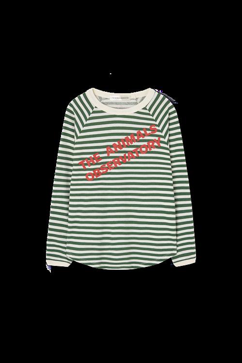 The Animals Observatory Anteater Langærmet T-shirt Dark Garden  Dark Garden 3 Y  Grøn  3 år  mand