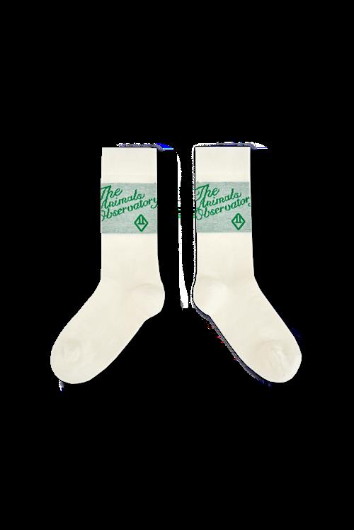 The Animals Observatory Snail Sokker Green  Green 27-30 EU  Grøn  27-30 EU  unisex