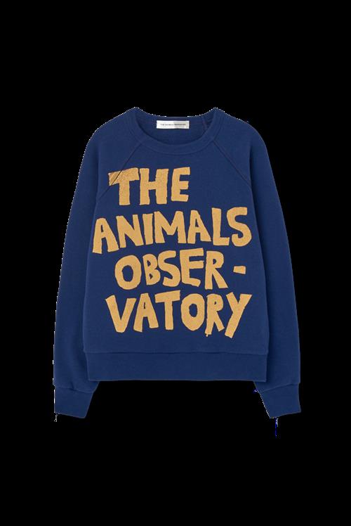 The Animals Observatory Shark Sweatshirt Deep Blue  Deep Blue 3 Y  Blå  3 år  mand