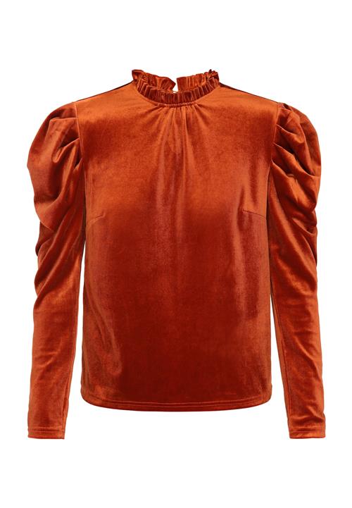 faina Bluse  rustbrun