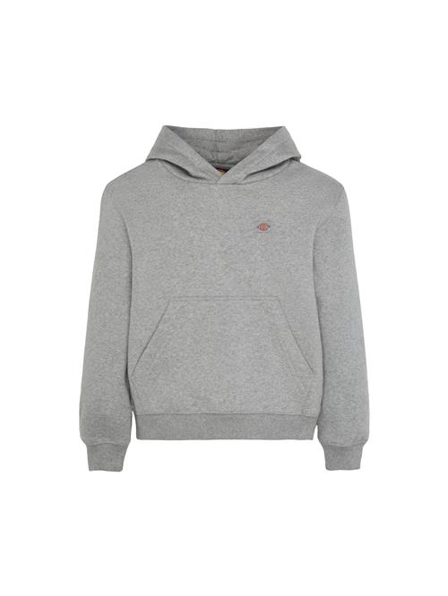 DICKIES Sweatshirt 'Youth Oakport'  grå