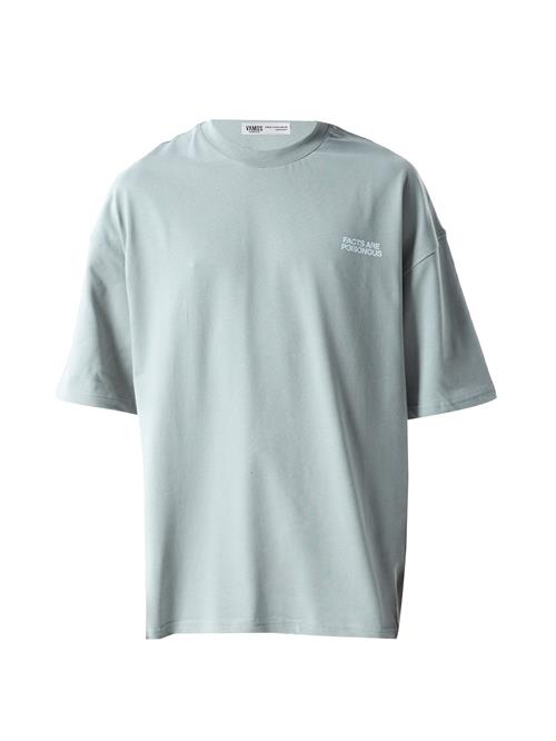 VAMOS CLO Bluser & t-shirts  grå / blandingsfarvet