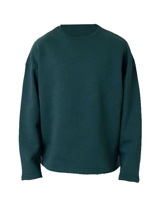 Dandalo Sweatshirt  gran