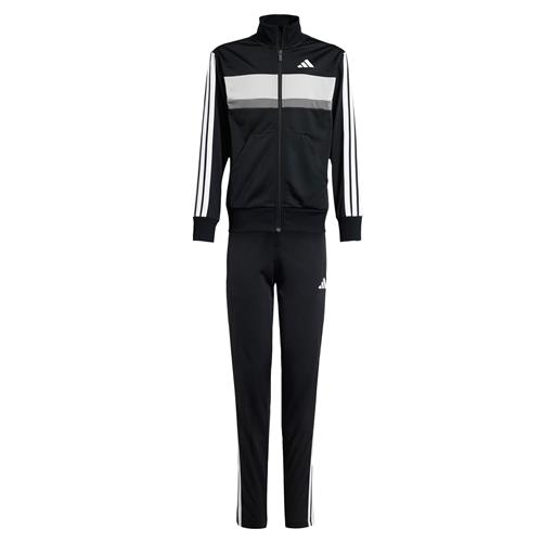 ADIDAS SPORTSWEAR Træningsdragt 'Seasonal Essentials Tiberio'  grå / sort / hvid