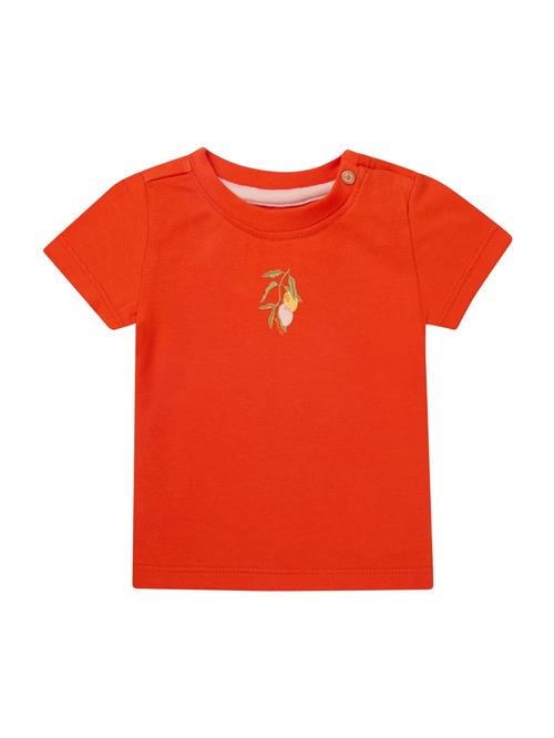 Noppies Bluser & t-shirts 'Minkler'  pastelgul / pastelgrøn / hummer / pastelpink