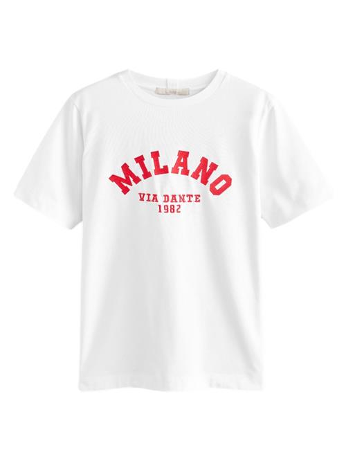 Next Shirts  rød / hvid