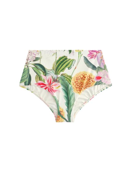 Next Bikinitrusse  creme / grøn / pastellilla / lys pink