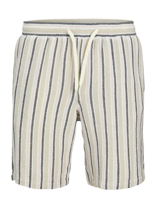 Jack & Jones Plus Bukser 'JPSTJAIDEN'  creme / pastelgrøn / sort / hvid