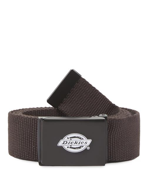 DICKIES Bælte 'Orcutt'  brun / sort / hvid