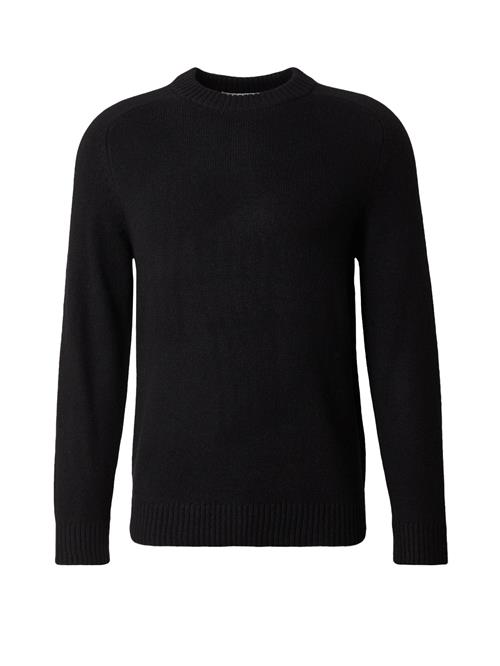 SELECTED Pullover 'SLHNICO'  sort