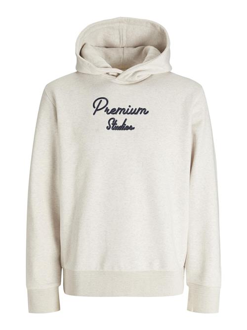 JACK & JONES Sweatshirt  grå / sort