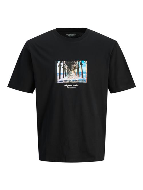 JACK & JONES Bluser & t-shirts 'JORVESTERBRO'  azur / khaki / sort / hvid