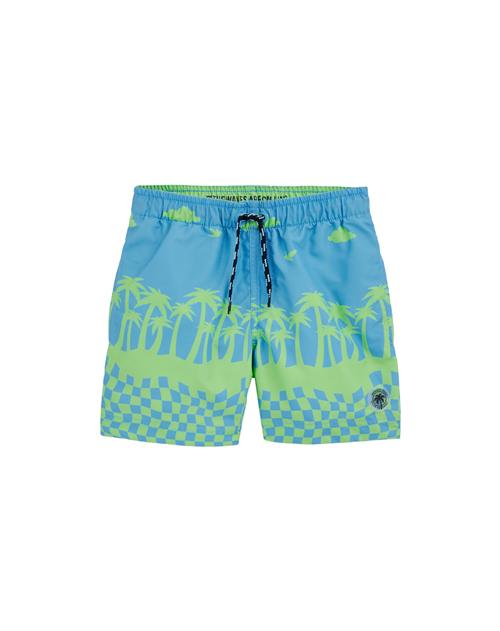 WE Fashion Badeshorts 'Jongens'  blå / grøn
