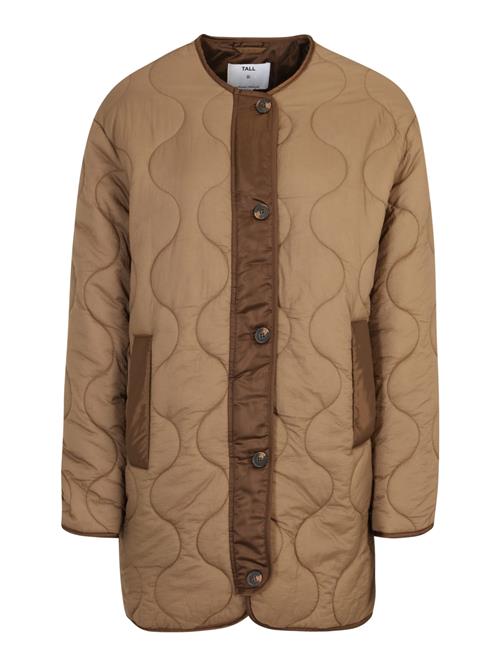 Dorothy Perkins Tall Overgangsjakke  choko / pueblo