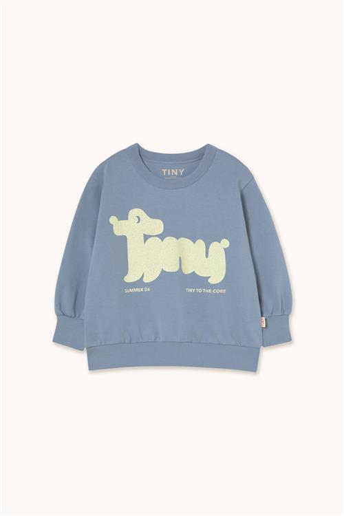 Tinycottons Tiny Dog Graphic Sweatshirt Grey  Grey 3 Y  Grå  3 år  mand