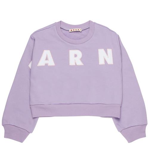Marni Sweatshirt - Light Violet