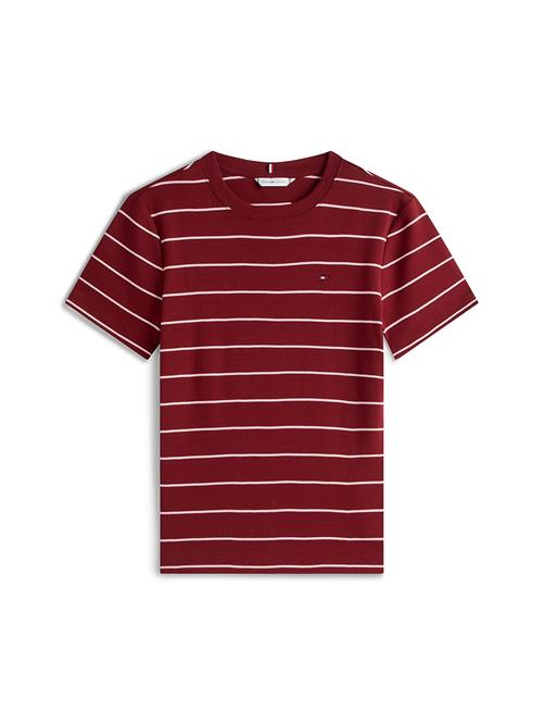 TOMMY HILFIGER Shirts 'CODY'  vinrød / hvid