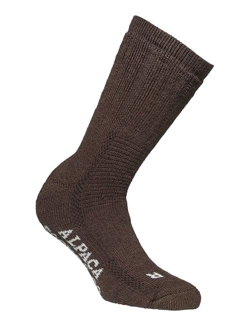 Alpacasocks&Co | Alpacasocks 2-Pack | 45-48