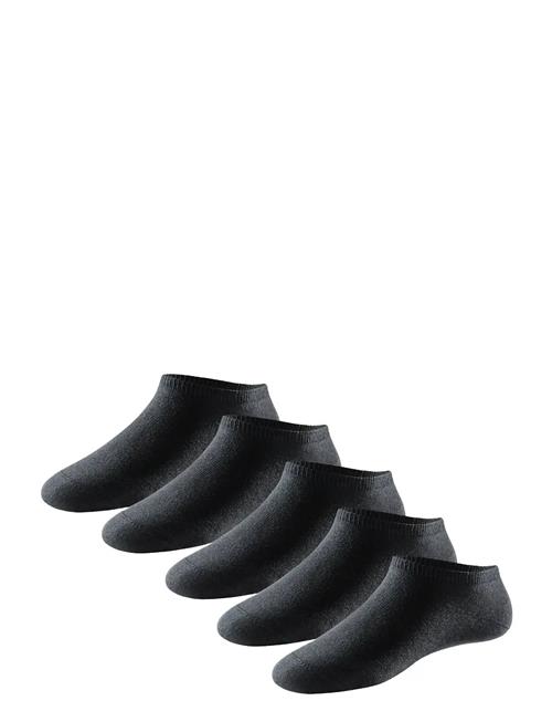 Schiesser | Socks | 39-42