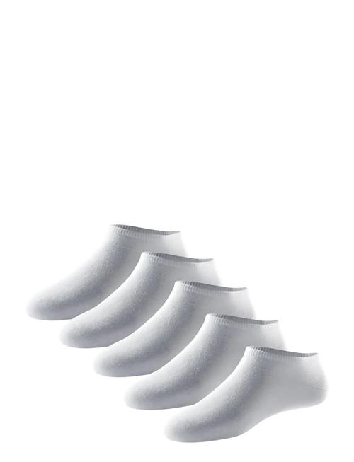 Schiesser | Socks | 43-46