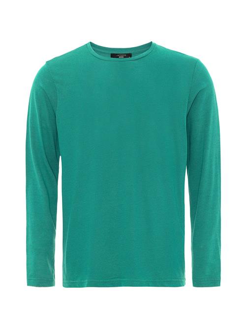 Antioch Pullover  grøn