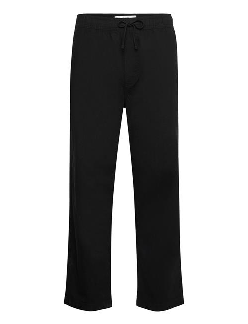 Hollister | Hco. Guys Pants | XL