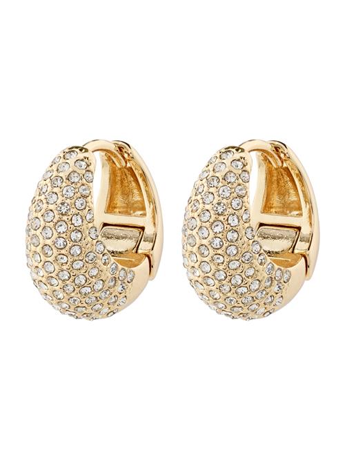 Pilgrim Øreringe 'Focus'  guld / transparent