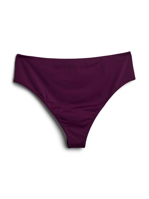 Swim by Zizzi Bikinitrusse 'Serina'  aubergine