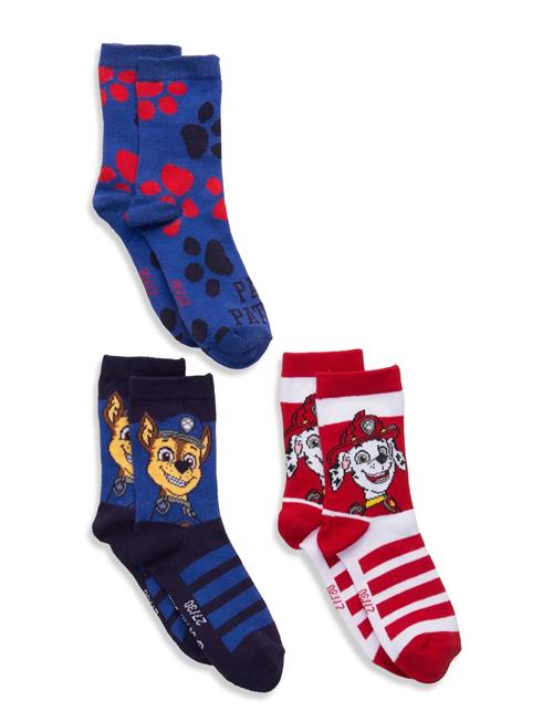 Paw Patrol | Socks | 27/30