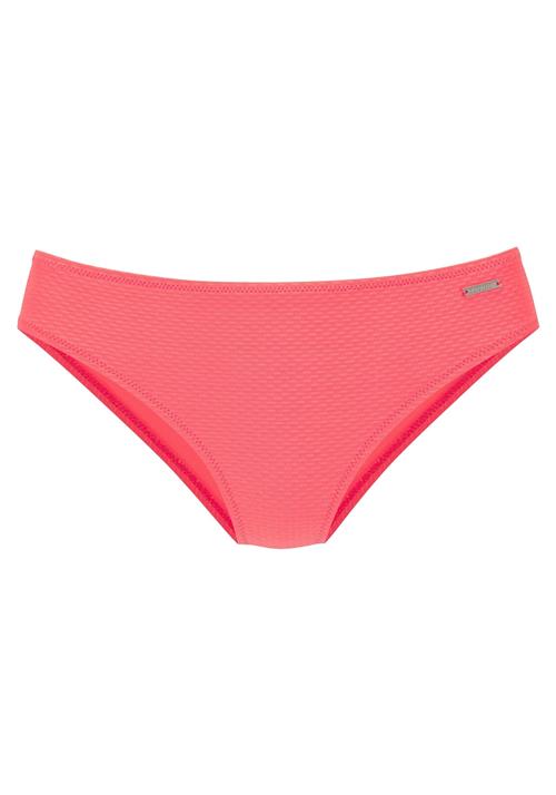 Bruno Banani Bikinitrusse  koral