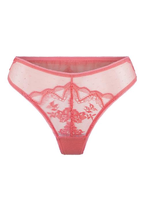 LingaDore String  orange