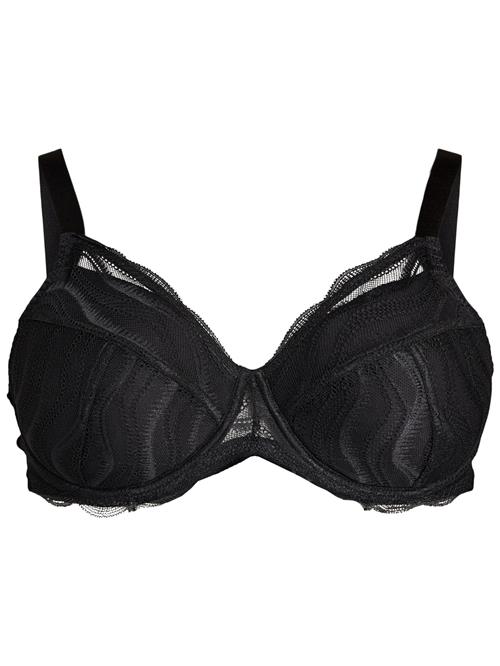 Devoted by Zizzi BH 'Ltracy'  sort