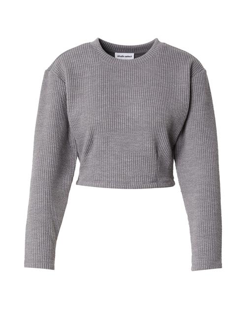 studioselect Shirts 'Dana'  grå-meleret