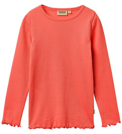 Wheat Bluse - Rib - Ida - Watermelon