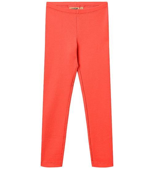 Wheat Leggings - Rib - Jules - Watermelon