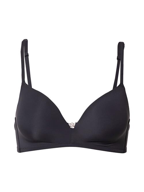 Dorina BH 'Fili'  sort