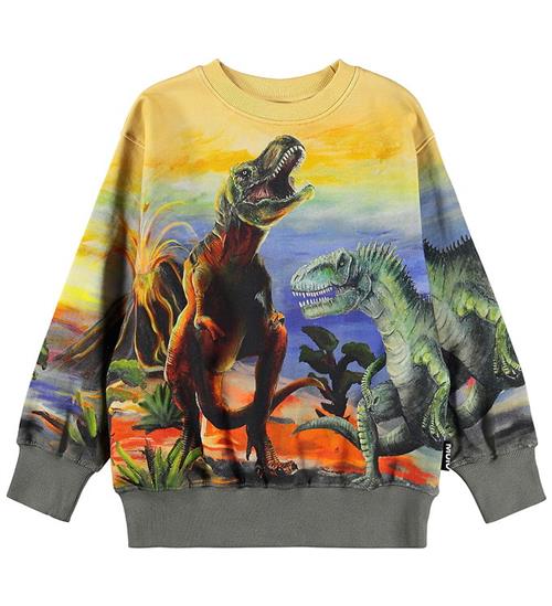 Molo Sweatshirt - Matis - Dino Art