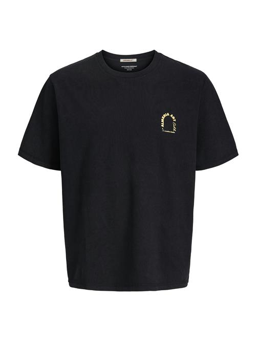 Jack & Jones Junior Shirts 'JORAlmeria'  lyseblå / sølvgrå / orange / sort