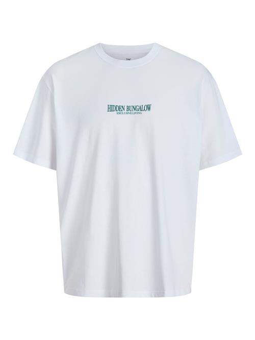 JACK & JONES Bluser & t-shirts 'JORWOWIE'  mørkegrøn / mørkelilla / rød / hvid