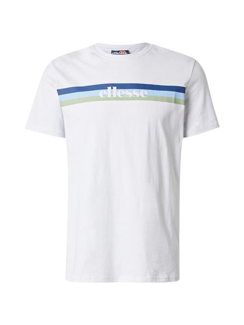 ELLESSE Bluser & t-shirts 'Giacomo'  blå / grøn / hvid