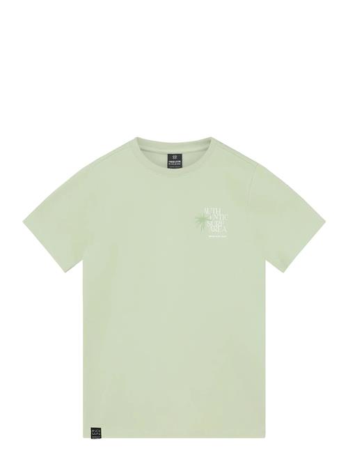 Indian Blue Jeans | T-Shirt Chest And Backprint | 110