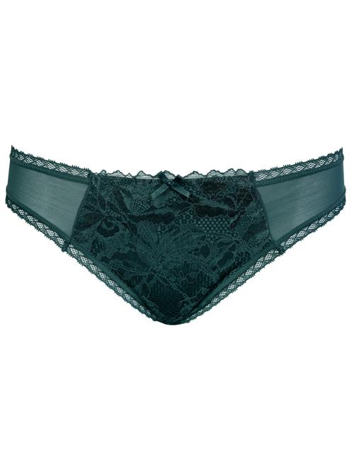 SugarShape String 'Vienna'  mørkegrøn