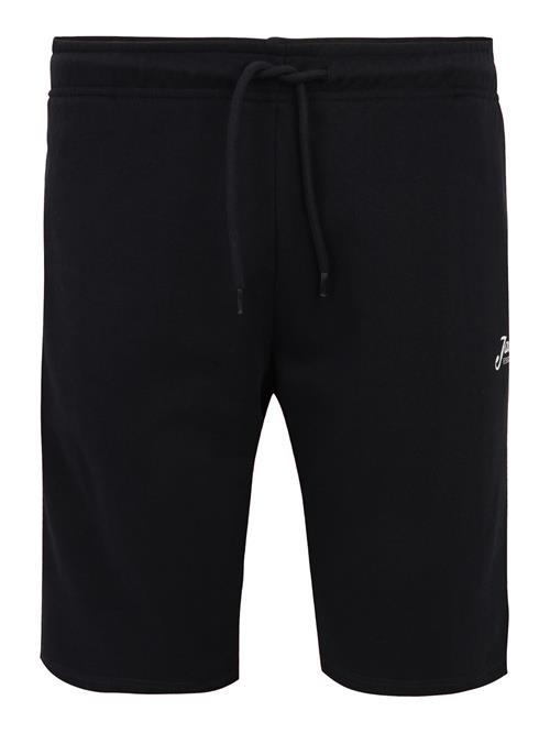Jack & Jones Plus Bukser 'JPSTGORDON JJBEAU'  navy / hvid
