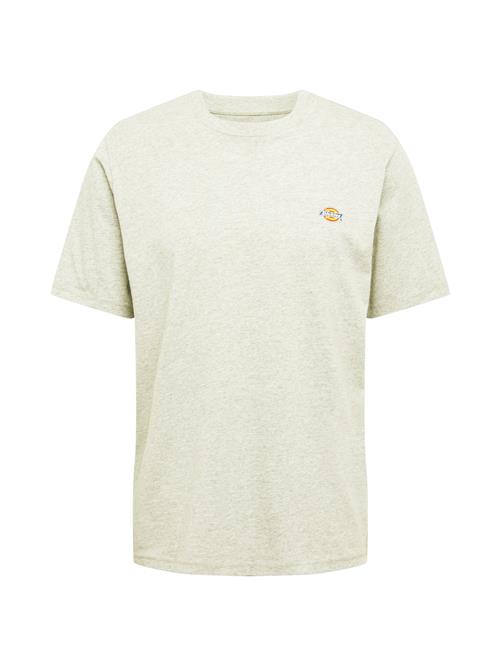 DICKIES Bluser & t-shirts 'Mapleton'  grå-meleret