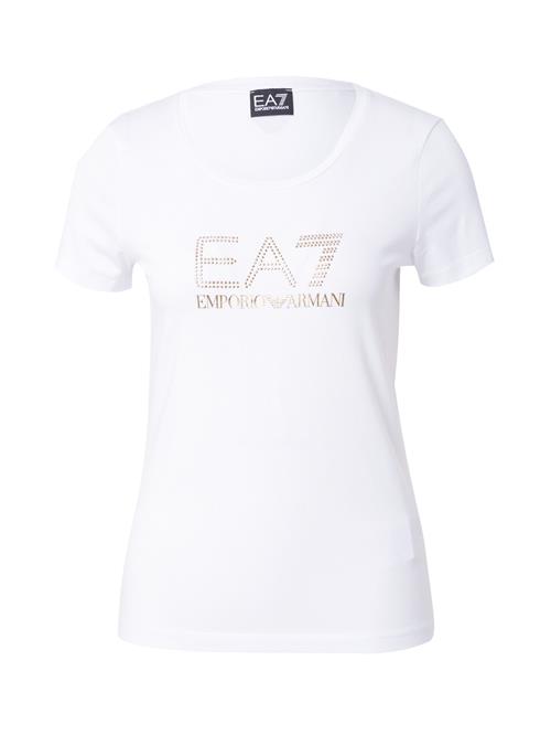 EA7 Emporio Armani Shirts  guld / hvid