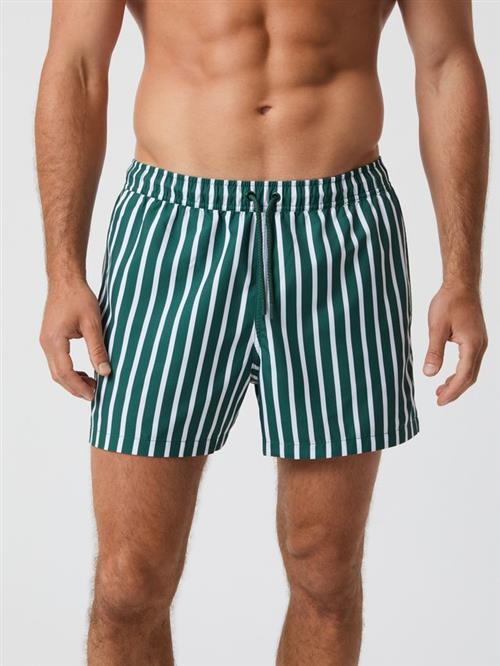 BORG PRINT SWIM SHORTS, BB WIDE STRIPE 2