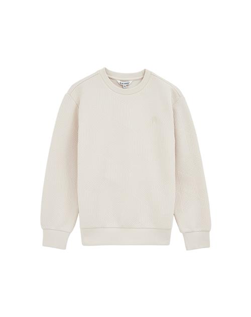 WE Fashion Sweatshirt  beige